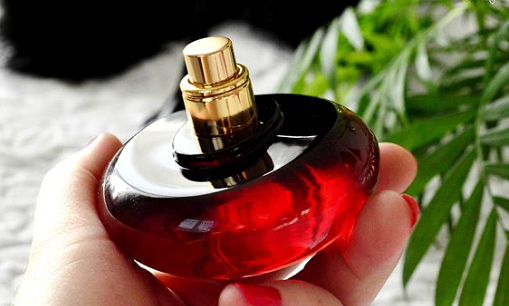 https://nogolbeauty.ir/